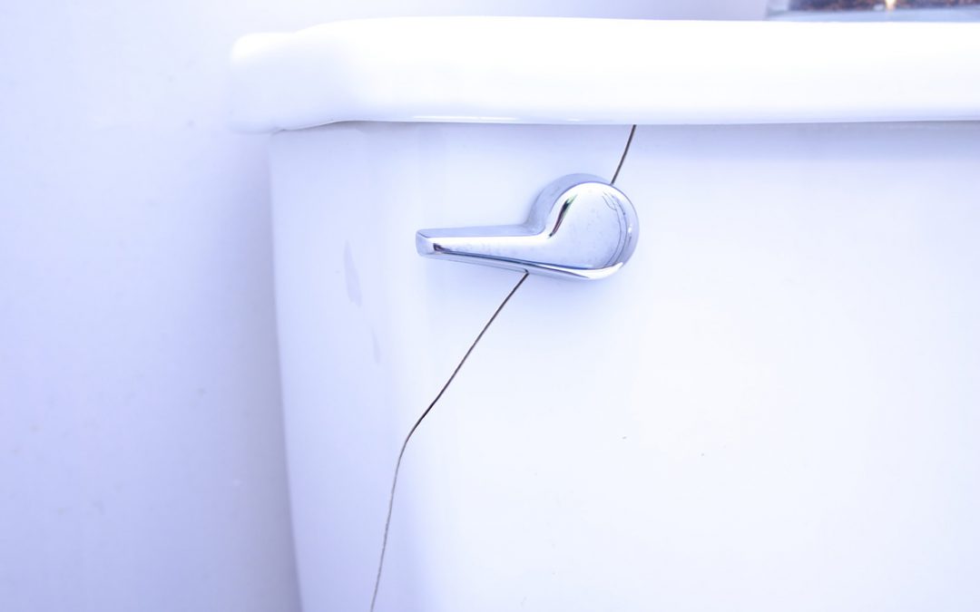 Common Causes of a Leaky Toilet